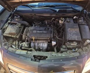Opel Insignia Gebrauchtwagen