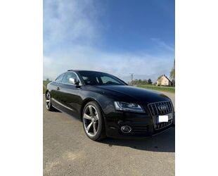 Audi S5 Gebrauchtwagen