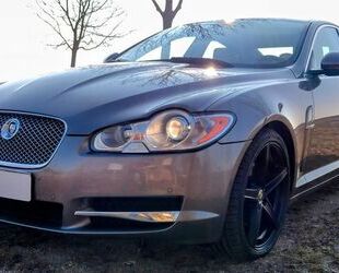 Jaguar XF Gebrauchtwagen