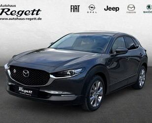 Mazda CX-30 Gebrauchtwagen