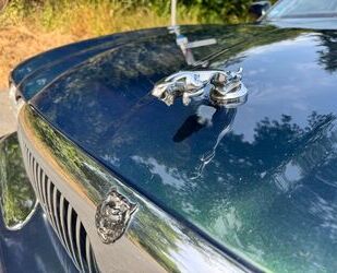 Jaguar XJ6 Gebrauchtwagen