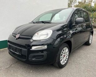 Fiat Panda Gebrauchtwagen