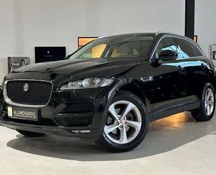 Jaguar F-Pace Gebrauchtwagen