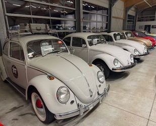 VW Käfer Gebrauchtwagen