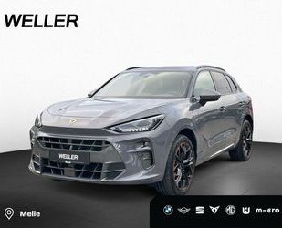 Cupra Terramar Gebrauchtwagen