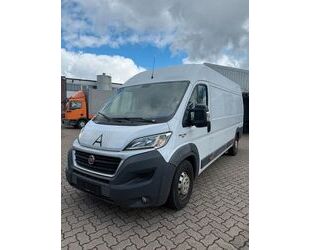 Fiat Ducato Gebrauchtwagen