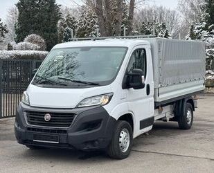 Fiat Ducato Gebrauchtwagen
