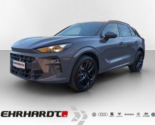 Cupra Terramar Gebrauchtwagen