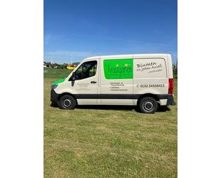 Mercedes-Benz Sprinter Gebrauchtwagen