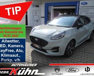 Ford Puma Gebrauchtwagen