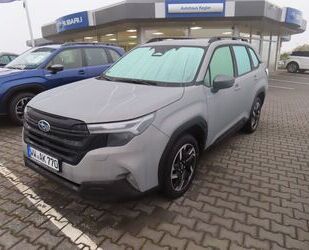 Subaru Forester Gebrauchtwagen