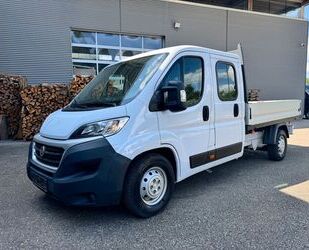 Fiat Ducato Gebrauchtwagen
