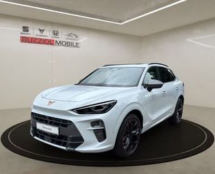 Cupra Terramar Gebrauchtwagen