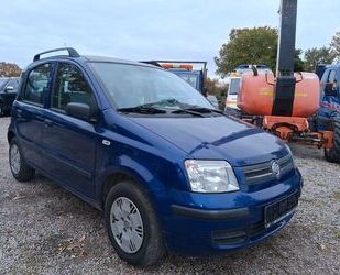 Fiat Panda Gebrauchtwagen