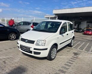 Fiat New Panda Gebrauchtwagen