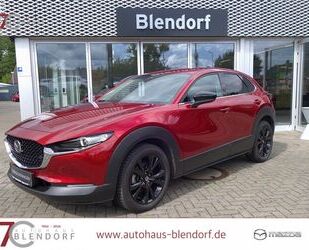 Mazda CX-30 Gebrauchtwagen