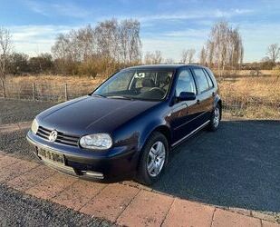 VW Golf Gebrauchtwagen