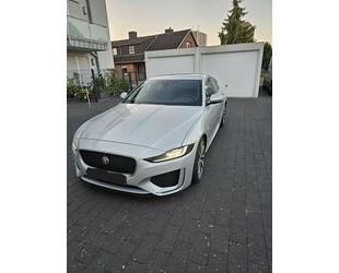 Jaguar XE Gebrauchtwagen