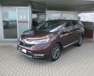 Honda CR-V Gebrauchtwagen