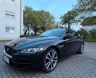Jaguar XE Gebrauchtwagen