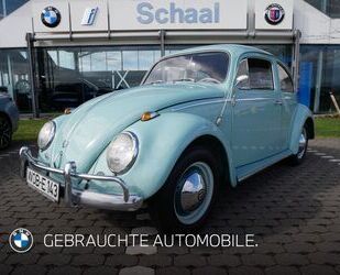 VW Käfer Gebrauchtwagen
