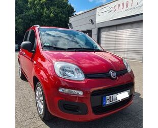 Fiat Panda Gebrauchtwagen