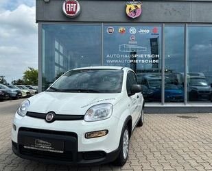 Fiat Panda Gebrauchtwagen