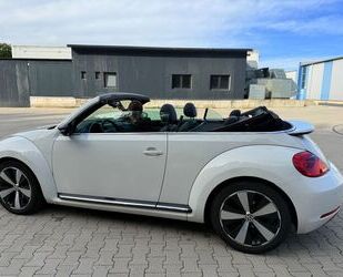 VW Beetle Gebrauchtwagen