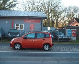 Fiat New Panda Gebrauchtwagen