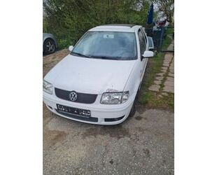 VW Polo Gebrauchtwagen