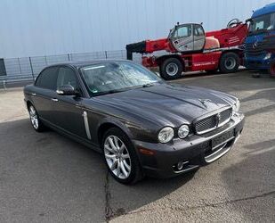 Jaguar XJ6 Gebrauchtwagen