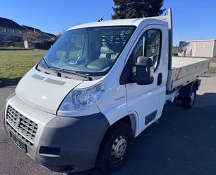 Fiat Ducato Gebrauchtwagen
