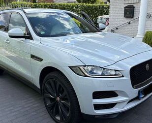 Jaguar F-Pace Gebrauchtwagen
