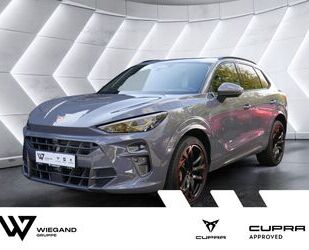 Cupra Terramar Gebrauchtwagen