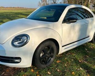 VW Beetle Gebrauchtwagen