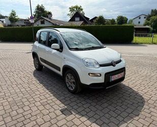 Fiat Panda Gebrauchtwagen