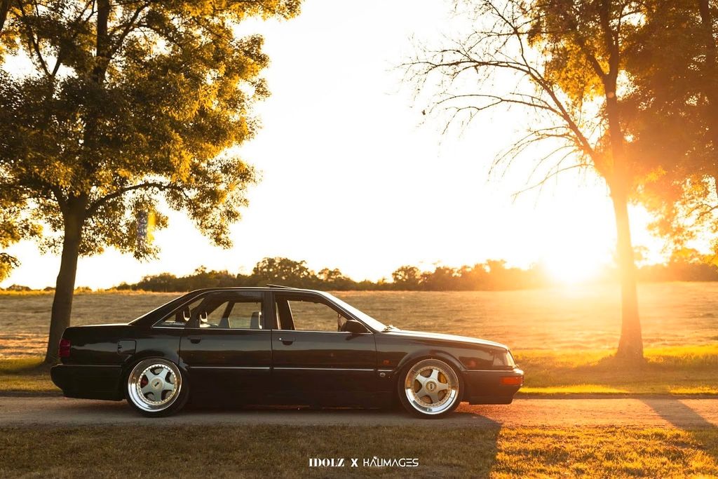 V8