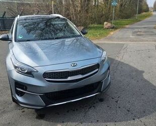 Kia XCeed Gebrauchtwagen