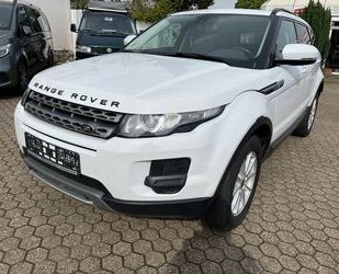 Land Rover Range Rover Evoque Gebrauchtwagen