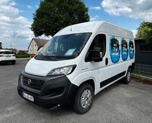 Fiat Ducato Gebrauchtwagen
