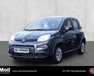 Fiat Panda Gebrauchtwagen