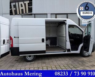 Fiat Ducato Gebrauchtwagen