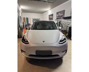 Mini Model Y 