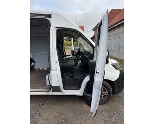 Fiat Ducato Gebrauchtwagen