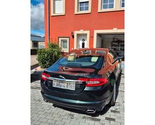 Jaguar XF Gebrauchtwagen