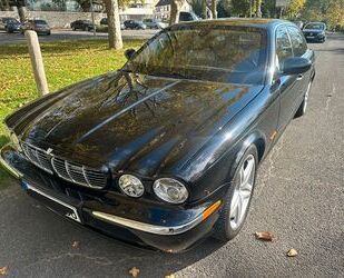 Jaguar XJ8 Gebrauchtwagen