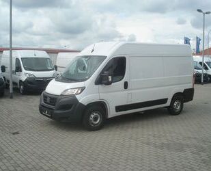 Fiat Ducato Gebrauchtwagen
