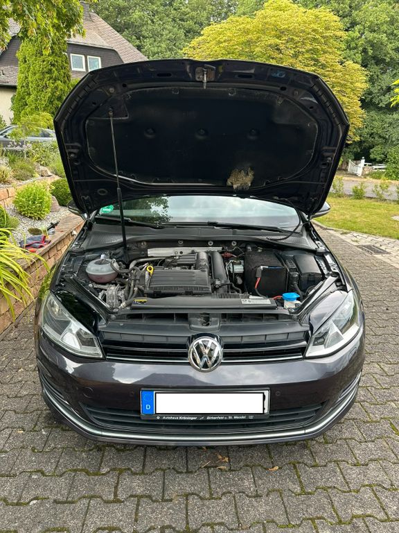 Bild 1