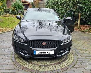Jaguar XE Gebrauchtwagen