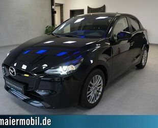 Mazda 2 Gebrauchtwagen